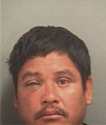 Angel Gutierrezgarcia, - Palm Beach County, FL 